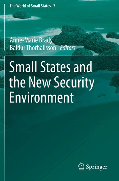 Anne-Marie Brady, Baldur Thorhallsson - Small States and the New Security Environment, Häftad