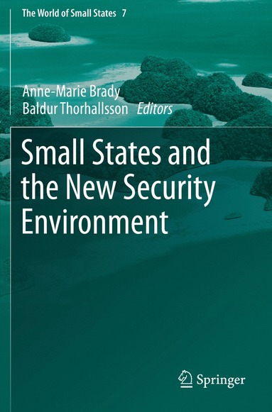 bokomslag Small States and the New Security Environment