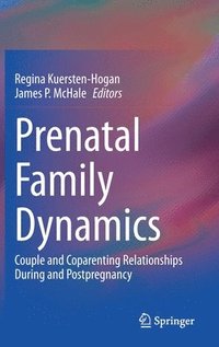 bokomslag Prenatal Family Dynamics