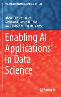 bokomslag Enabling AI Applications in Data Science