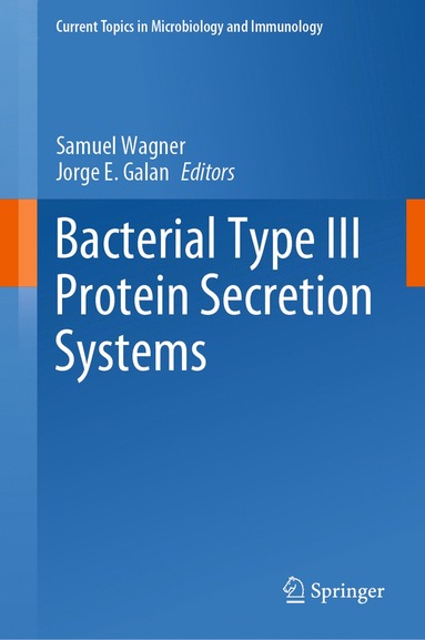 bokomslag Bacterial Type III Protein Secretion Systems