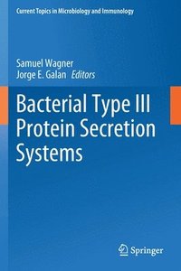 bokomslag Bacterial Type III Protein Secretion Systems