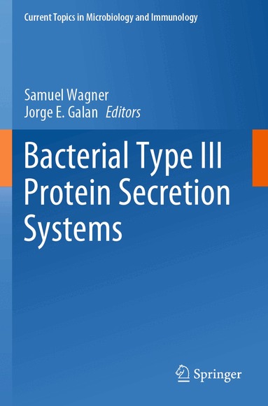 Samuel Wagner, Jorge E. Galan - Bacterial Type III Protein Secretion Systems, Häftad