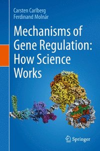 bokomslag Mechanisms of Gene Regulation: How Science Works