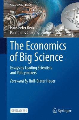 bokomslag The Economics of Big Science
