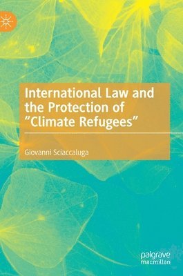 bokomslag International Law and the Protection of "Climate Refugees"