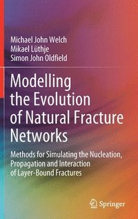bokomslag Modelling the Evolution of Natural Fracture Networks