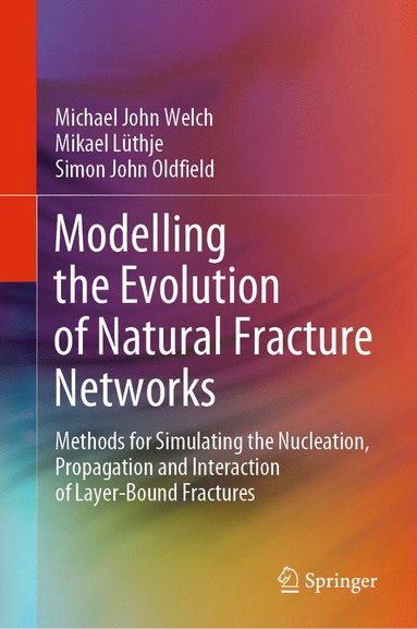 bokomslag Modelling the Evolution of Natural Fracture Networks