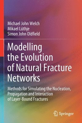 bokomslag Modelling the Evolution of Natural Fracture Networks