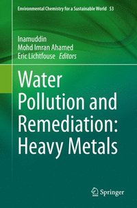 bokomslag Water Pollution and Remediation: Heavy Metals