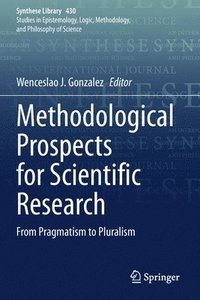 bokomslag Methodological Prospects for Scientific Research
