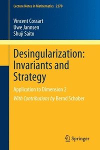bokomslag Desingularization: Invariants and Strategy