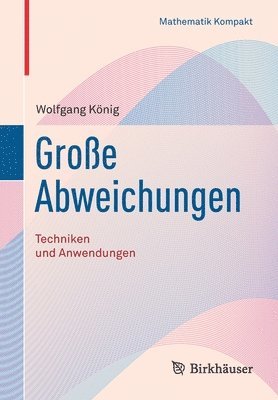 bokomslag Große Abweichungen