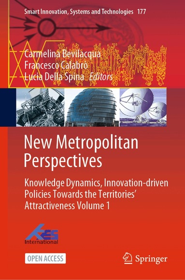 Carmelina Bevilacqua, Francesco Calabrò, Lucia Della Spina - New Metropolitan Perspectives, Inbunden