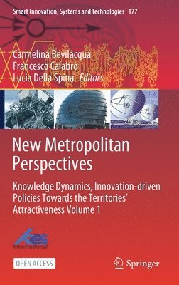 New Metropolitan Perspectives 1