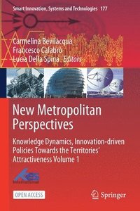 bokomslag New Metropolitan Perspectives