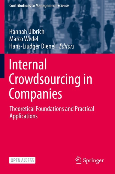 Hannah Ulbrich, Marco Wedel, Hans-Liudger Dienel - Internal Crowdsourcing in Companies, Inbunden