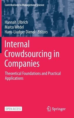 Hannah Ulbrich, Marco Wedel, Hans-Liudger Dienel - Internal Crowdsourcing in Companies, Inbunden