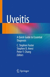 bokomslag Uveitis