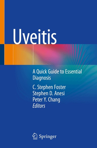 C. Stephen Foster, Stephen D. Anesi, Peter Y. Chang - Uveitis, Häftad