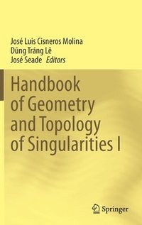 bokomslag Handbook of  Geometry and Topology of Singularities I