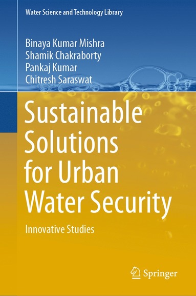 bokomslag Sustainable Solutions for Urban Water Security