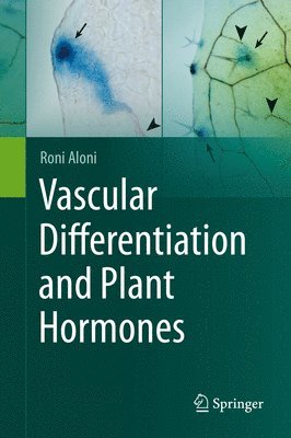 bokomslag Vascular Differentiation and Plant Hormones