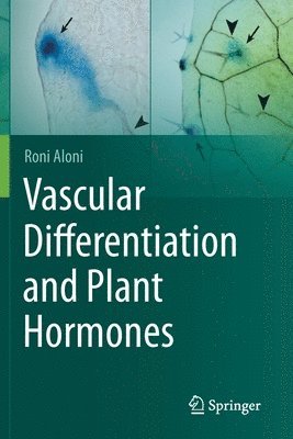 Vascular Differentiation and Plant Hormones 1