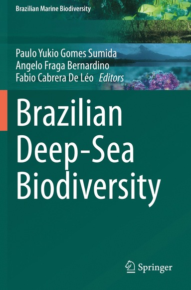 bokomslag Brazilian Deep-Sea Biodiversity