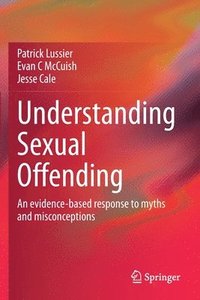 bokomslag Understanding Sexual Offending