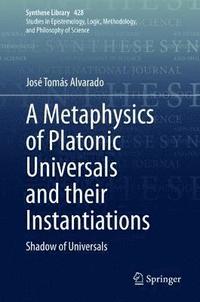 bokomslag A Metaphysics of Platonic Universals and their Instantiations