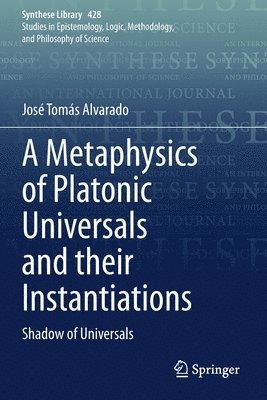 A Metaphysics of Platonic Universals and their Instantiations 1