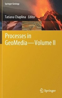 bokomslag Processes in GeoMedia - Volume II