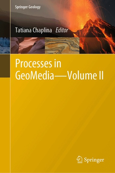 Tatiana Chaplina - Processes in GeoMedia - Volume II, Inbunden