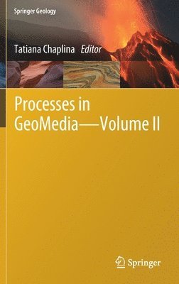 bokomslag Processes in GeoMedia - Volume II