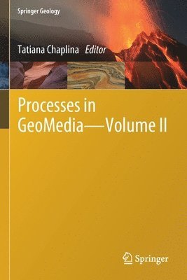 bokomslag Processes in GeoMedia - Volume II