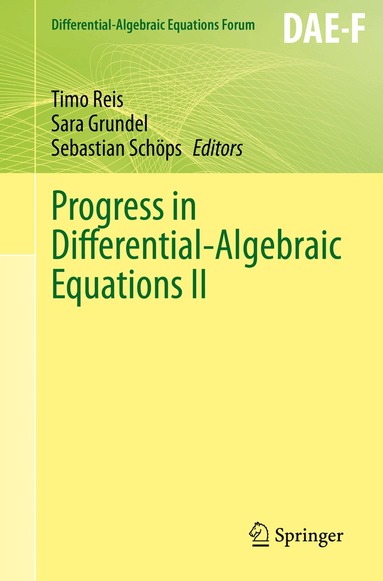Timo Reis, Sara Grundel, Sebastian Schöps - Progress in Differential-Algebraic Equations II, Häftad