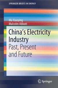 bokomslag Chinas Electricity Industry