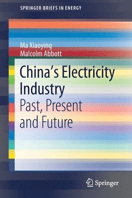 bokomslag China's Electricity Industry