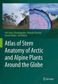 bokomslag Atlas of Stem Anatomy of Arctic and Alpine Plants Around the Globe