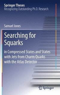 bokomslag Searching for Squarks