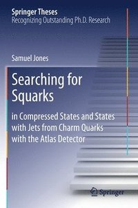 bokomslag Searching for Squarks