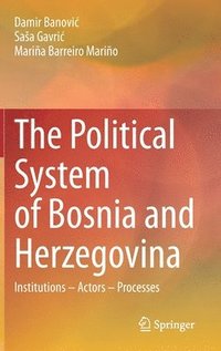 bokomslag The Political System of Bosnia and Herzegovina