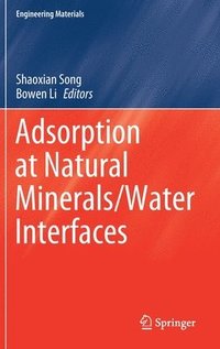 bokomslag Adsorption at Natural Minerals/Water Interfaces