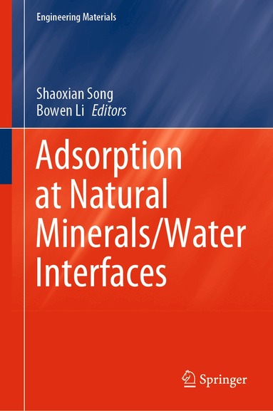 Shaoxian Song, Bowen Li - Adsorption at Natural Minerals/Water Interfaces, Inbunden