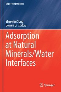 bokomslag Adsorption at Natural Minerals/Water Interfaces