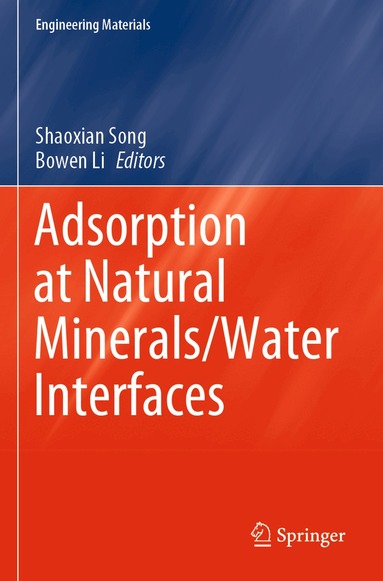 Shaoxian Song, Bowen Li - Adsorption at Natural Minerals/Water Interfaces, Häftad