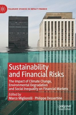 bokomslag Sustainability and Financial Risks