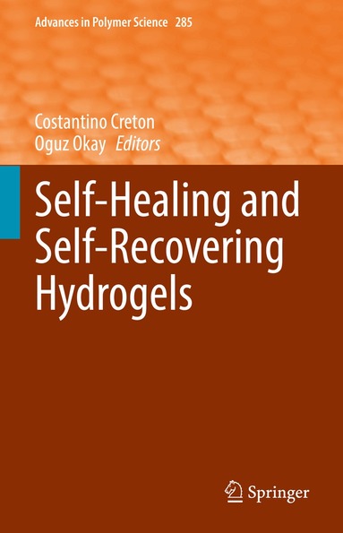 Costantino Creton, Oguz Okay - Self-Healing and Self-Recovering Hydrogels, Inbunden