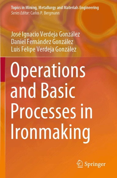 José Ignacio Verdeja González, Daniel Fernández González, Luis Felipe Verdeja González - Operations and Basic Processes in Ironmaking, Häftad